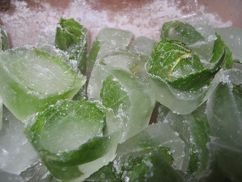 Rum Mint Ice Cubes