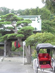 鎌倉-長谷觀音寺