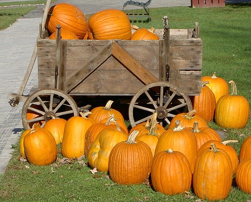 Pumpkin Wagon Ride