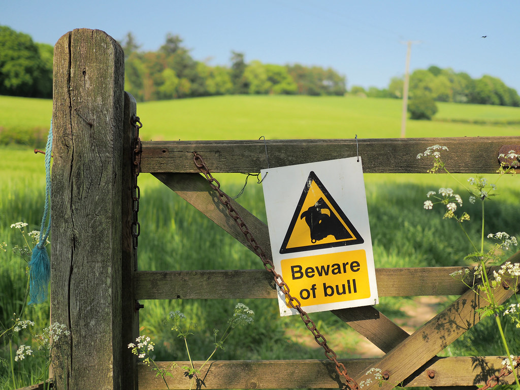 : Beware of bull