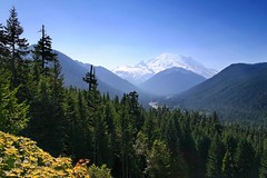 Mt. Rainier Valley - by jeffsmallwood