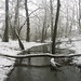 winter streamPICT0039