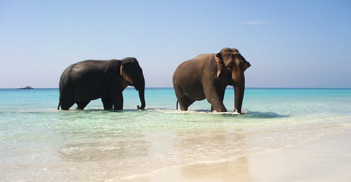 The paradise exists: spot the 2 elephants in the crystal clear water