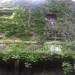 La Mortella tuinen, op Ischia