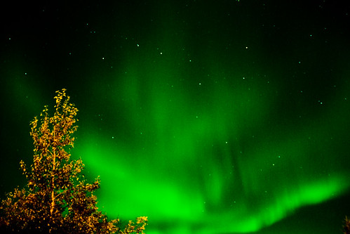 Great Northern Lights
