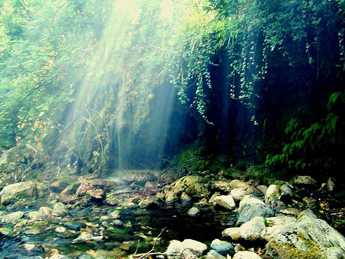 フリー画像|自然風景|森林/山林|太陽光線|トルコ風景|フリー素材|