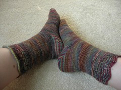 Fleece Artist Autumn socks