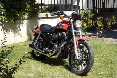 harley davidson 883 iron wallpaper. Harley-Davidson 883 Iron?