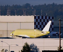 Large Cargo Freighter at Boeing Field
