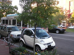 A Smart Car is smaller than a treebox.