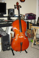 My new cello