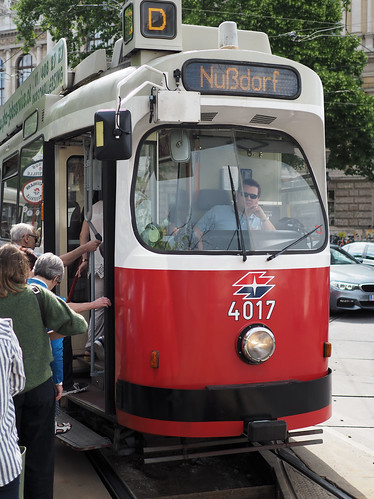 Vienna tram D ©  Dmitry Djouce