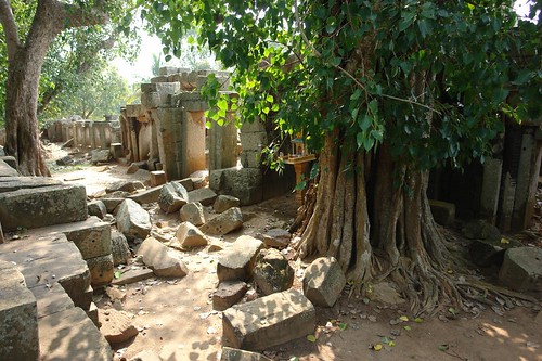 Battambang - Old temple amongst the trees