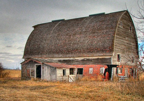 Barn and Shed