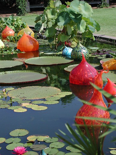 Chihuly in the Garden