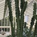 The Cactus House - Botanic Gardens