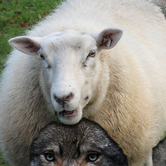 Fixed: In sheep clothing by manitou2121, on Flickr