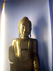 Cardiff Buddha 2