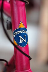 Strawberry Bicycles