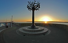 "The Tree" Sculpture