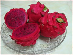 Hylocereus polyrhizus (Dragonfruit, Red Pitaya, Strawberry Pear), with dark red flesh or pulp