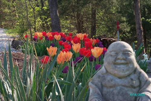 Pump of Knowledge & Wisdom in Buddha's head