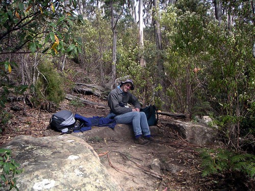 Our lunch spot on the track to the summit of Mt Maria