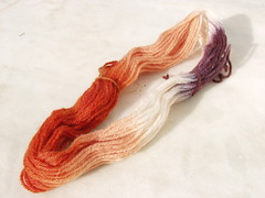 Hand dyed skein