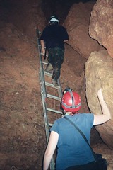 Ladder we climbed to final chamber in cave