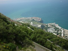 Dsc00022