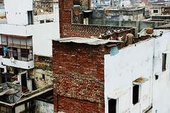 Old Varanasi n.1