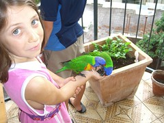Anna feeding Lorikeets