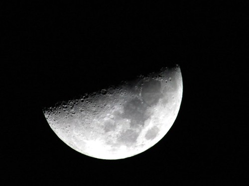 half Moon on January 25, 2007, Savannah, Georgia USA