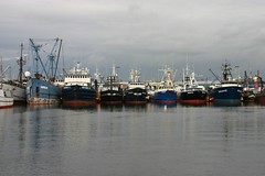 Fishing Boats at Fisherman's Terminal
