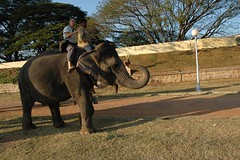 Me on a an elephant