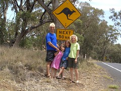 Kangaroos Ahead