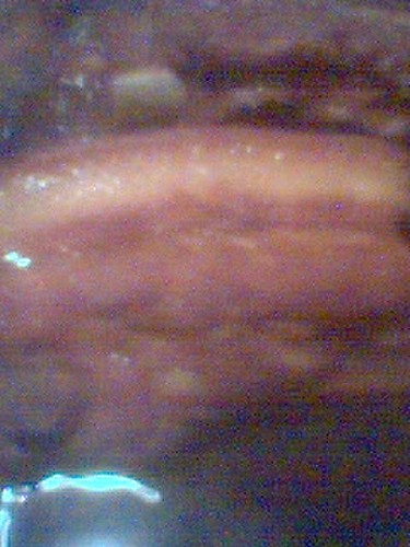 滷肉2