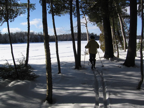 Cross Country Skiing in the Haliburton Highlands