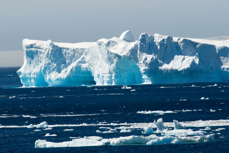 Iceberg
