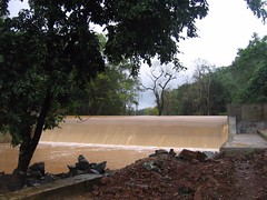 Kollibacchalu Dam -Malenadu Heavy Rain Effects Photography By Chinmaya M.Rao (96)