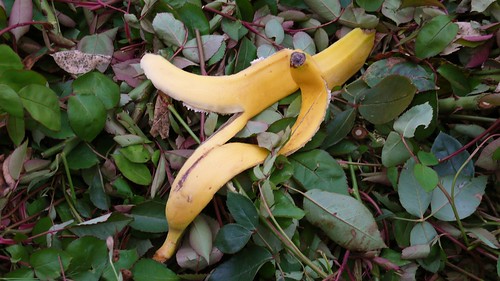 banana peel - home remedies for acne