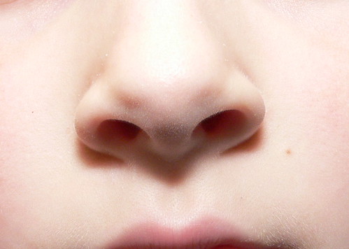 The Nose Noze