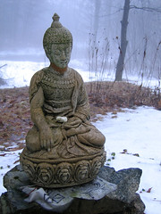 compassionate buddha.jpg