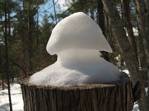 Snow mushroom / Champignon de neige