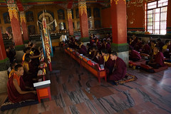 Tibetan Monastery in Southern India