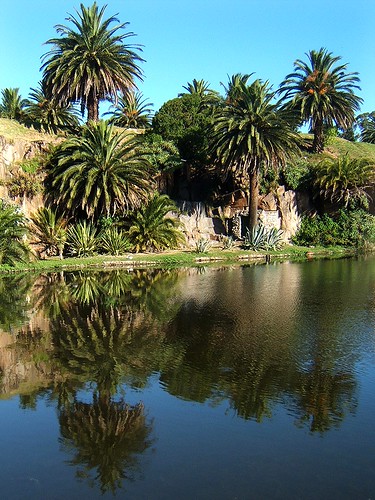 Parque Botánico Foto Atribución Creative Commons / Flickr: Vince Alongi