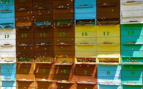 Image of a Slovenian apiary