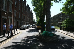 Hampshire Hog Lane