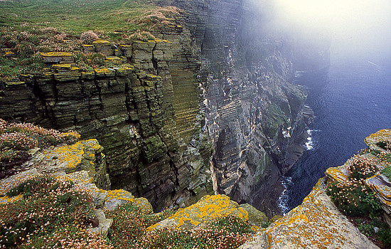 Marwick Head Cliffs