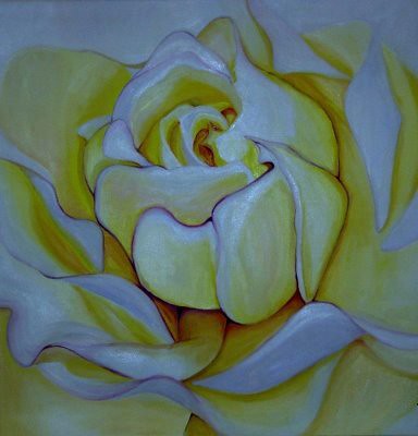 White Rose